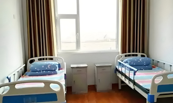 丫鬟逆袭：双面皇子清冷妃