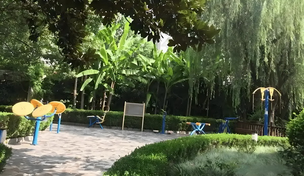 深海霸主：金主有颜又有钱