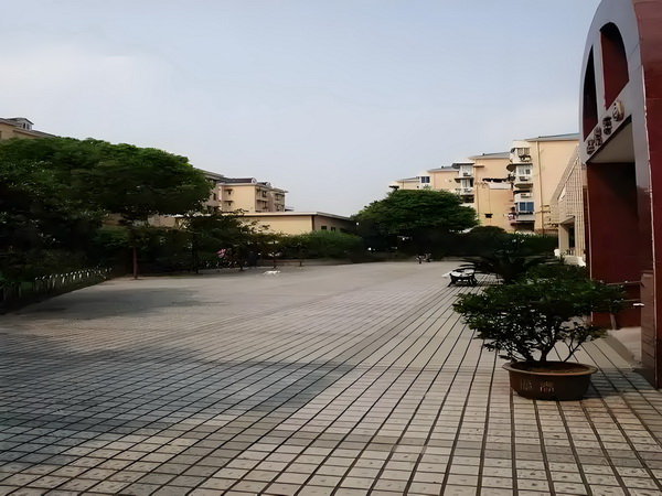 蜜婚晚承：大人物的小萌妻